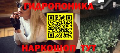 мяу мяу мука Тулун