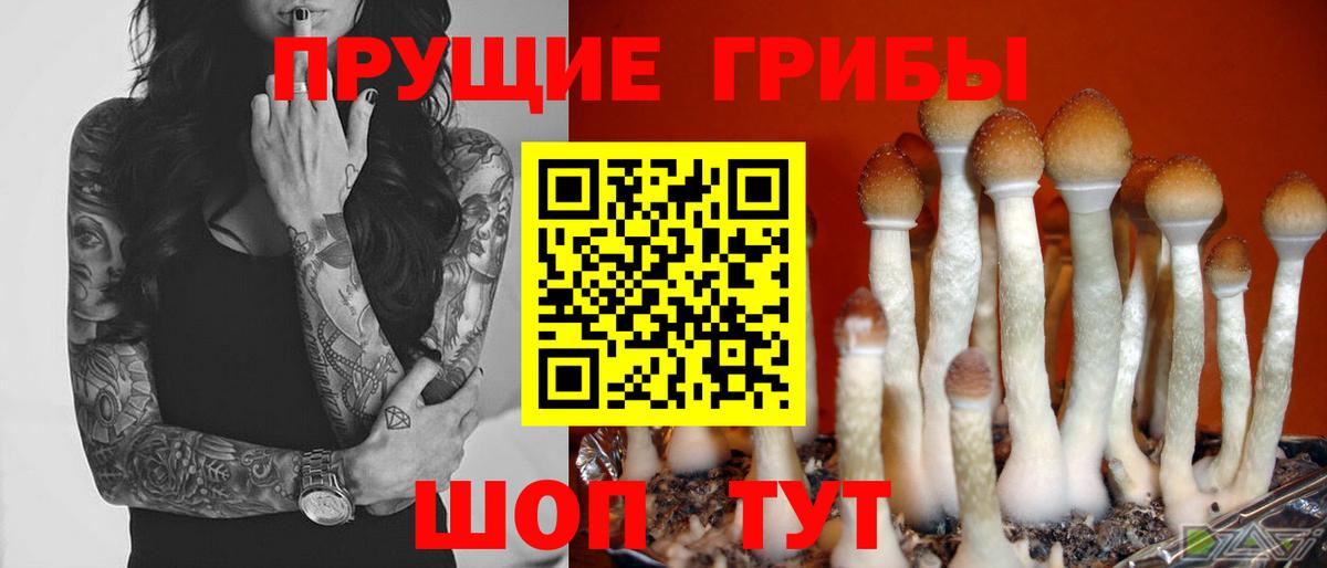 Галлюциногенные грибы MAGIC MUSHROOMS  Вход с VPN  купить наркоту  Галлюциногенные грибы прущие грибы  Новочеркасск 